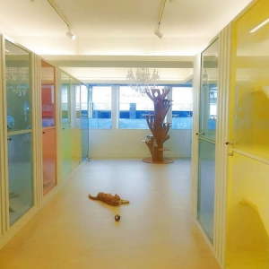 貓語花香精品貓旅館-undefined