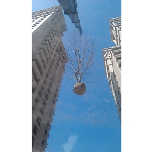 鴻平吊車有限公司