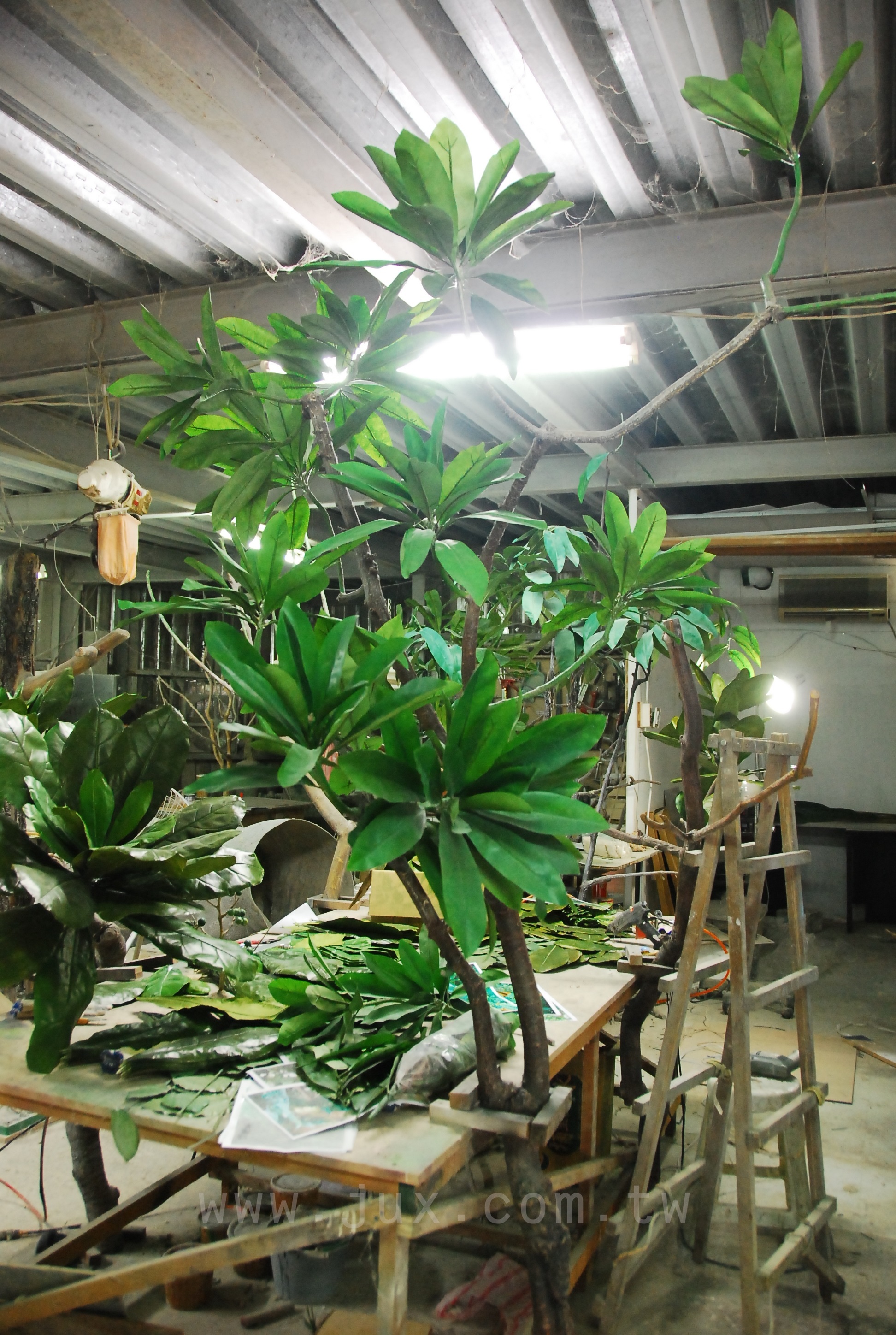 墾丁風管處
