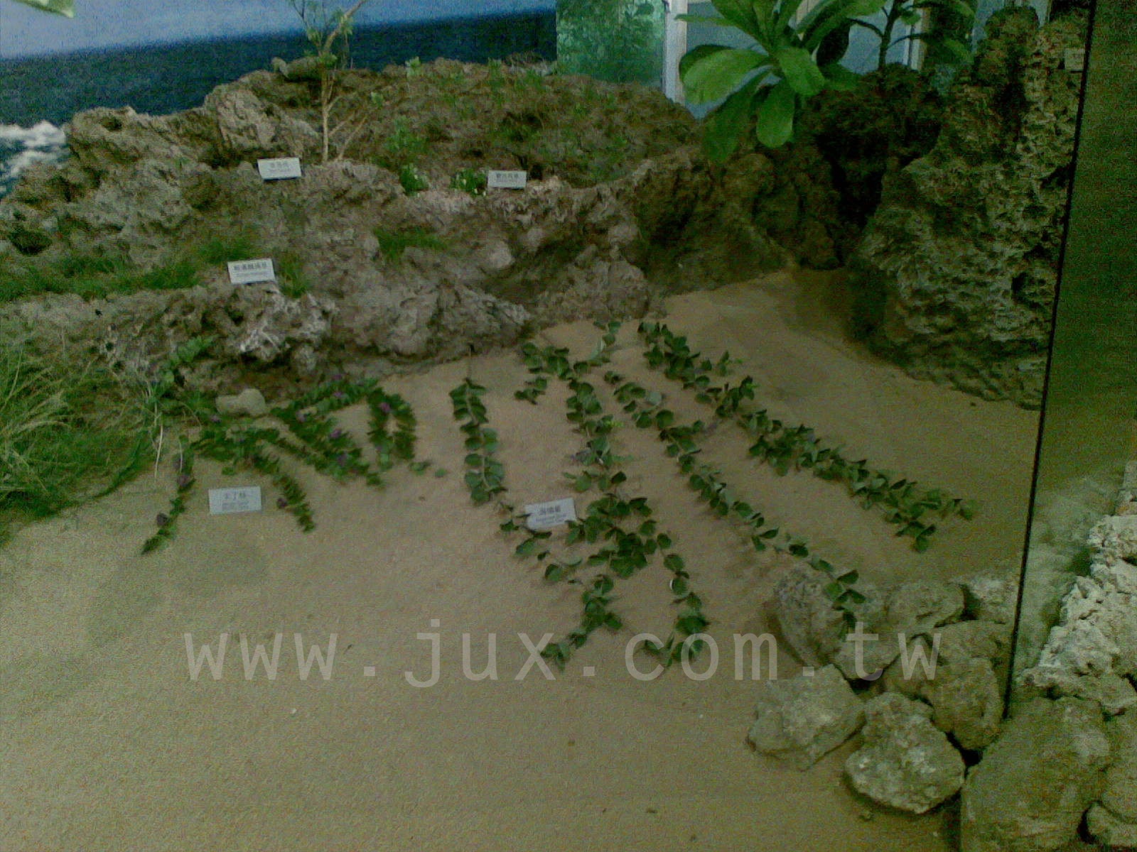 墾丁風管處