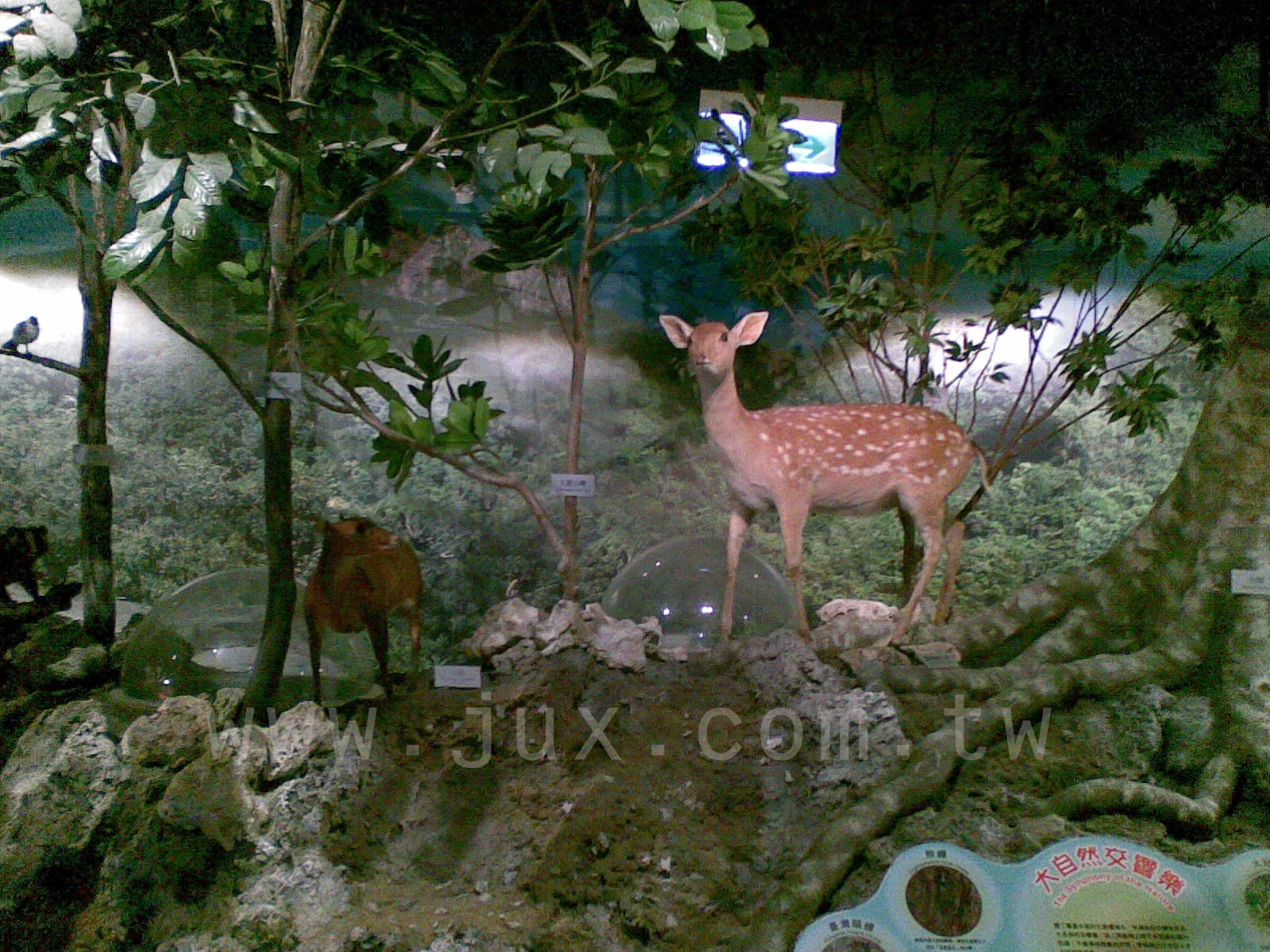 墾丁風管處