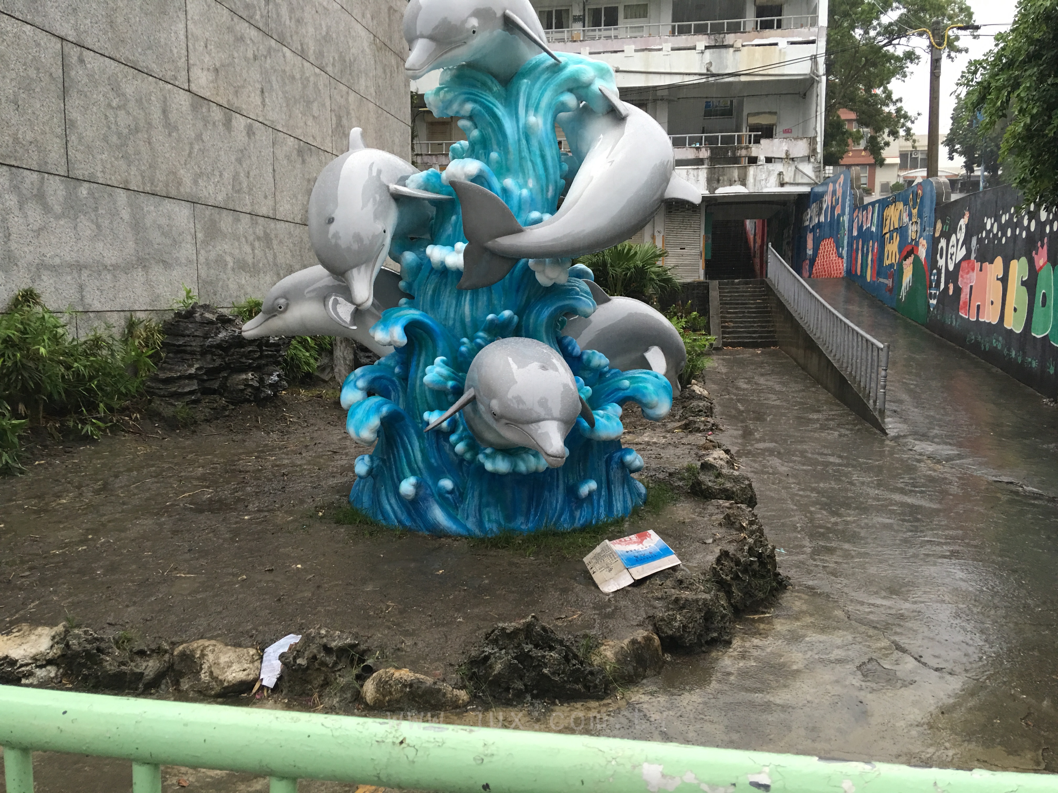 海豚戲水