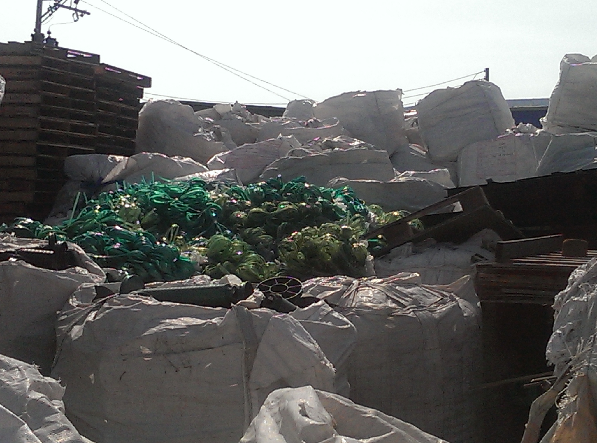 塑膠資源回收-PET打包帶