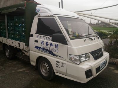 佳和蛋行-undefined