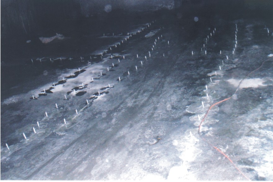 義大城地下室漏水灌注2