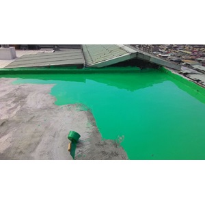屋頂地坪塗抹綠色PU防水膠