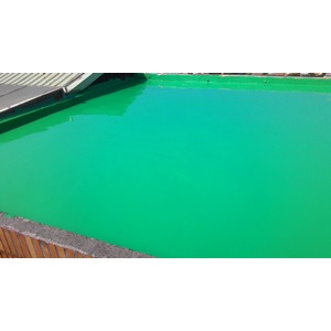 屋頂地坪塗抹綠色PU防水膠