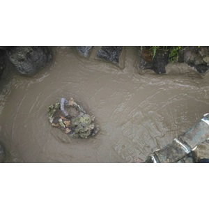 魚池塗抹水泥防水