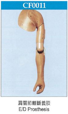 肩關節離斷義肢