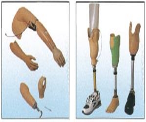 肘下義肢與膝下義肢