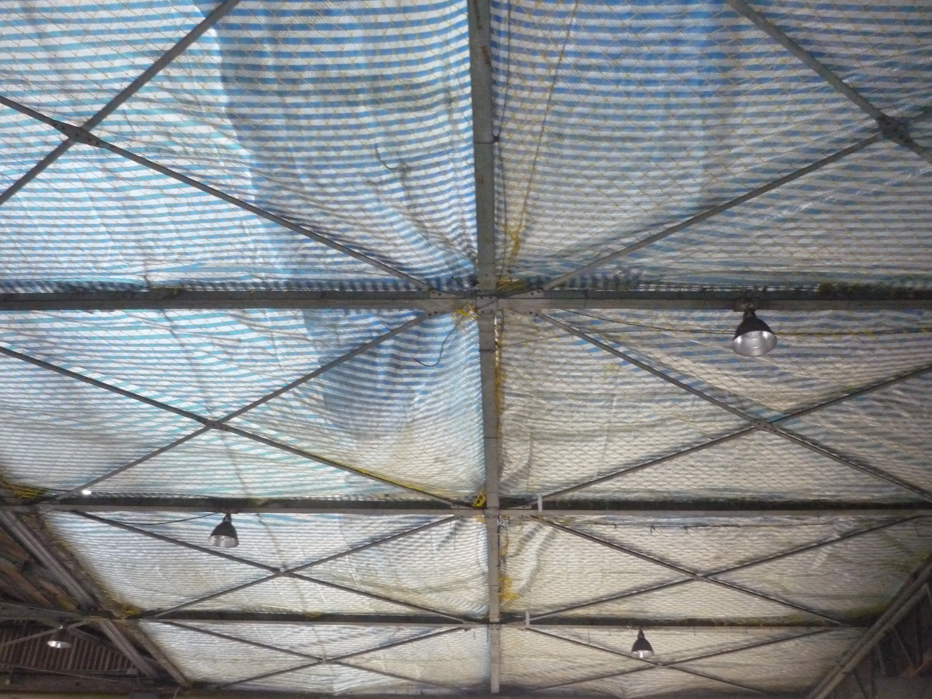 三義裕隆汽車廠-防墜網2