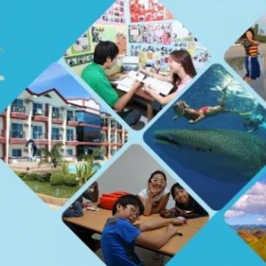 新飛國際-undefined