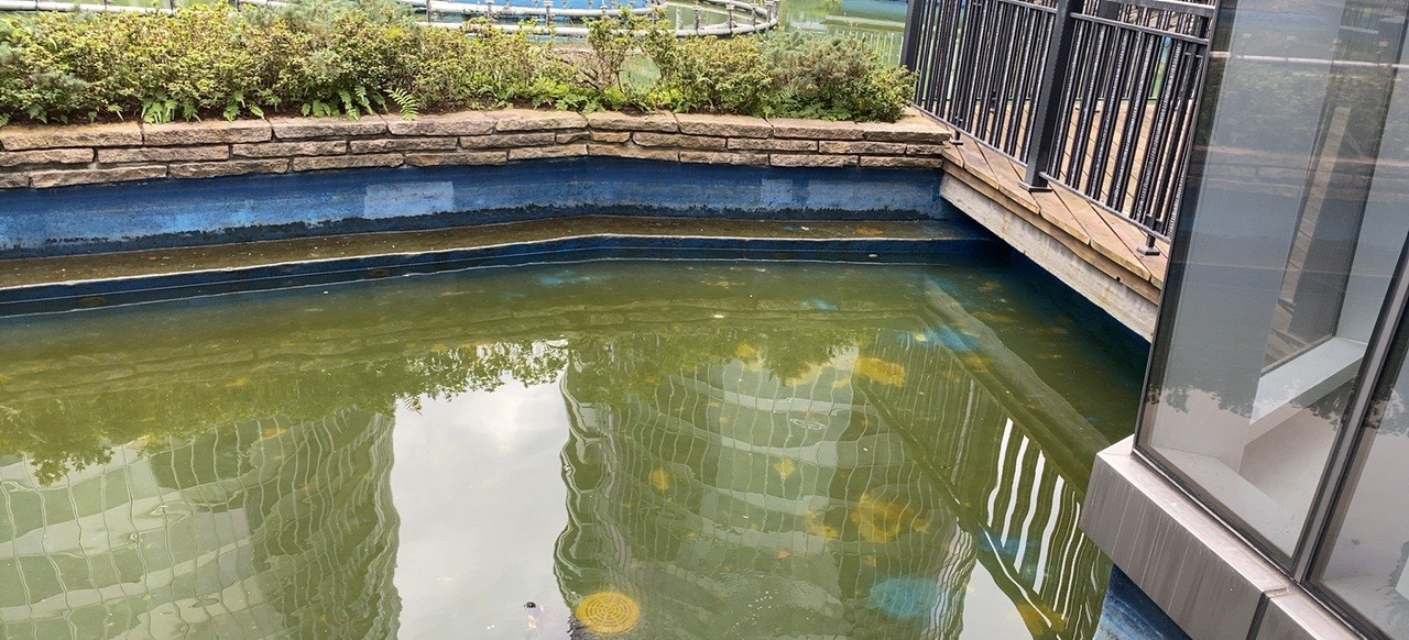 室外水池施作前