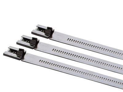 不锈鋼束帶(梯型)