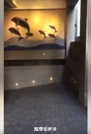 大里海豚聲車道感應燈鐵捲門自動開啟工程-千越通信科技弱電工程