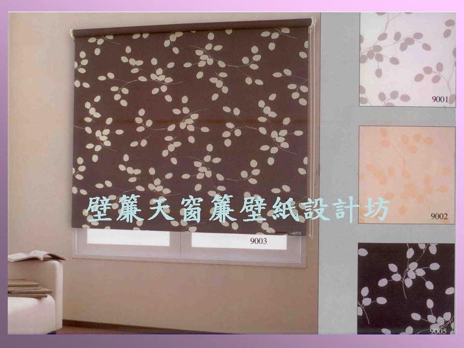 透光不透視捲簾