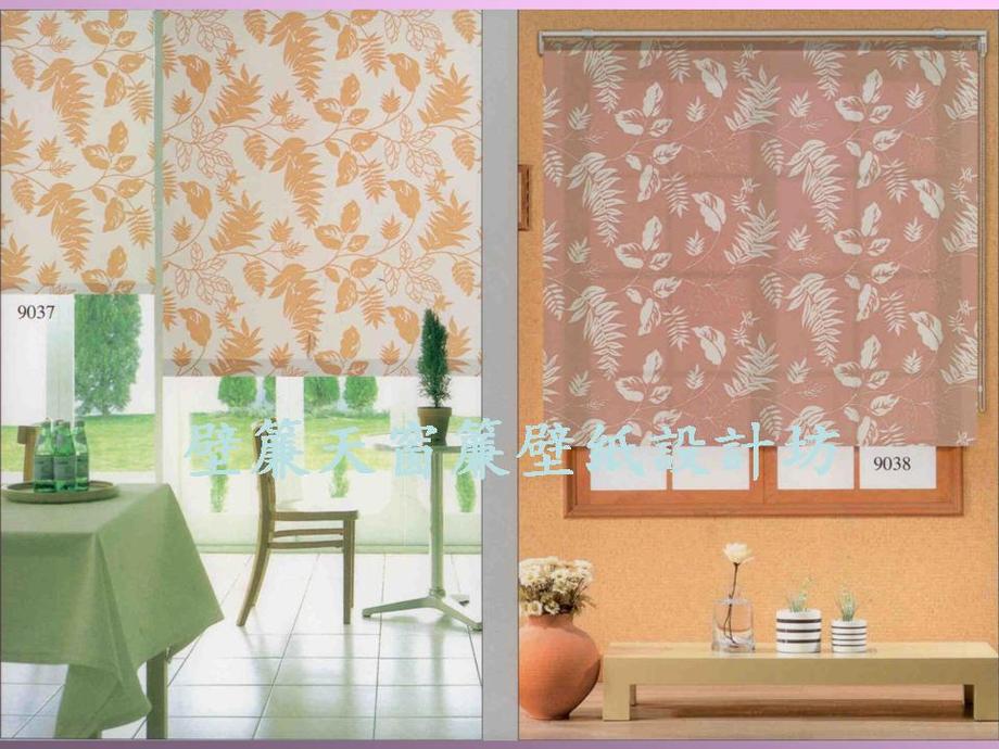 透光不透視捲簾