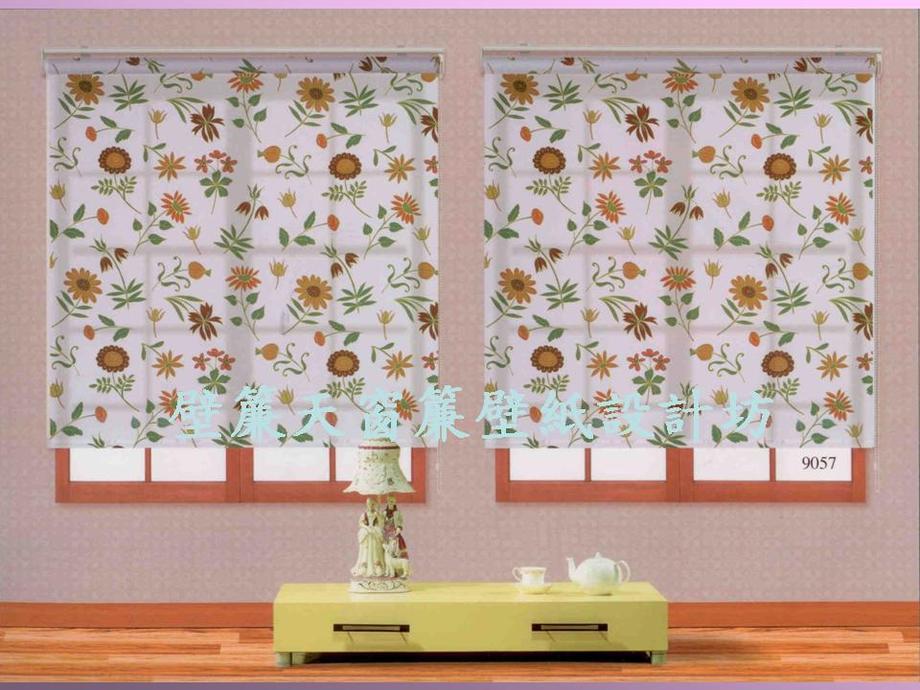 透光不透視捲簾