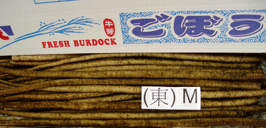 牛蒡(進出口蔬菜)