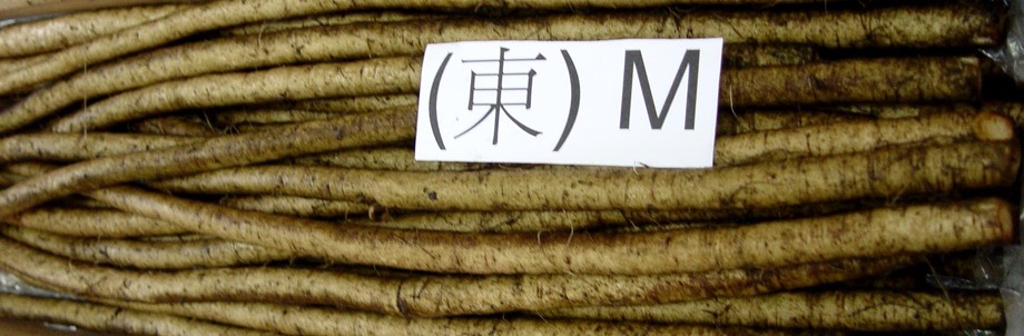 牛蒡(進出口蔬菜)