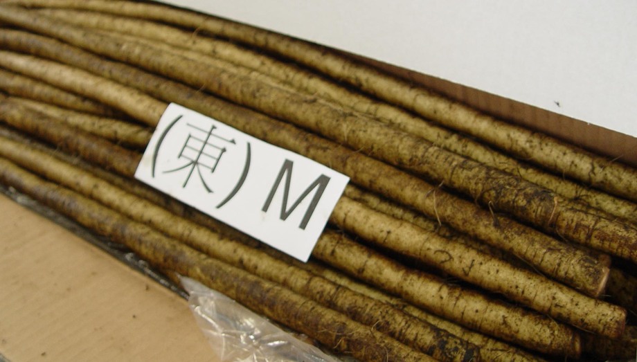 牛蒡(進出口蔬菜)