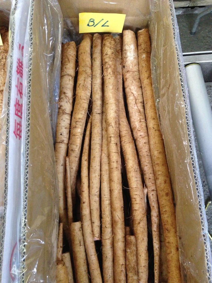 牛蒡(進出口蔬菜)