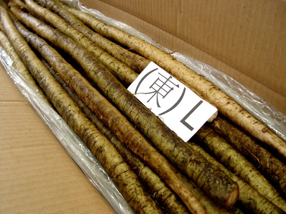 牛蒡(進出口蔬菜)