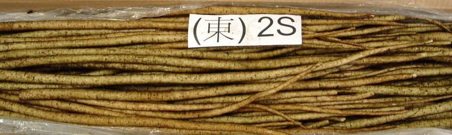 牛蒡(進出口蔬菜)