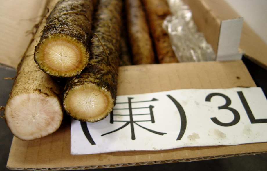 牛蒡(進出口蔬菜)