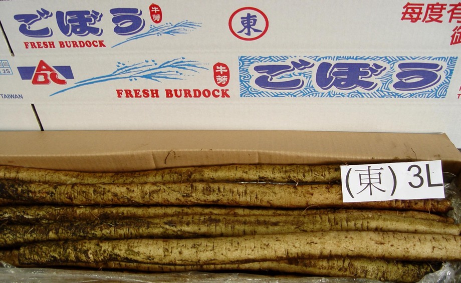 牛蒡(進出口蔬菜)