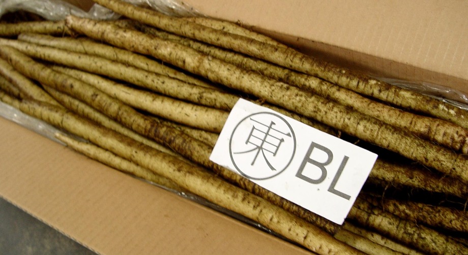 牛蒡(進出口蔬菜)