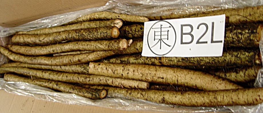 牛蒡(進出口蔬菜)