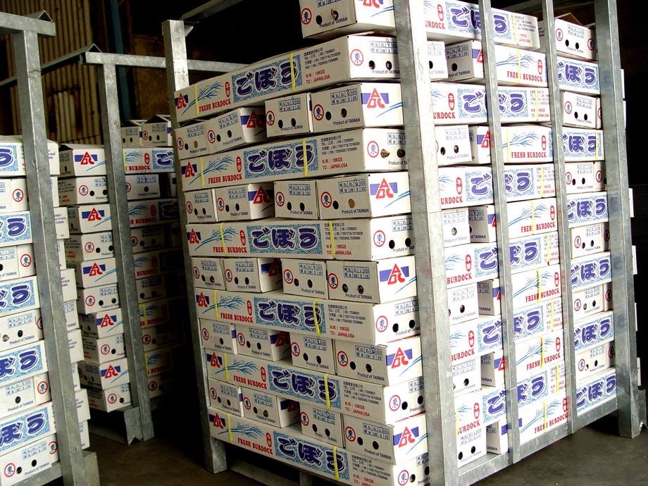 準備出貨包裝(牛蒡)