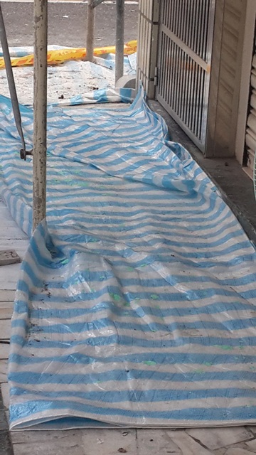 二聖路-公寓外牆防水