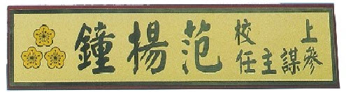 三角牌&nbsp;40*10CM