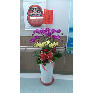 藝術蘭花盆景-台中蘭花花籃訂製