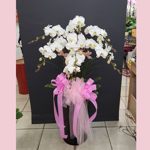 藝術蘭花盆景-台中蘭花花籃訂製