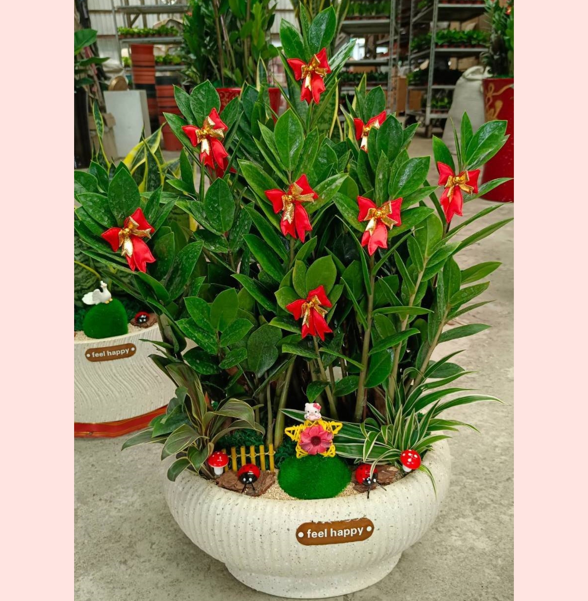 祝賀盆栽-台中蘭花花籃訂製