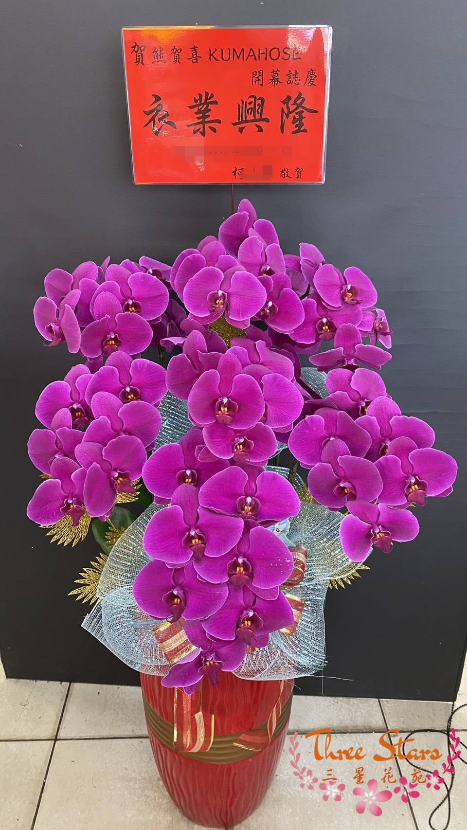 祝賀蘭花盆景-台中蘭花花籃訂製