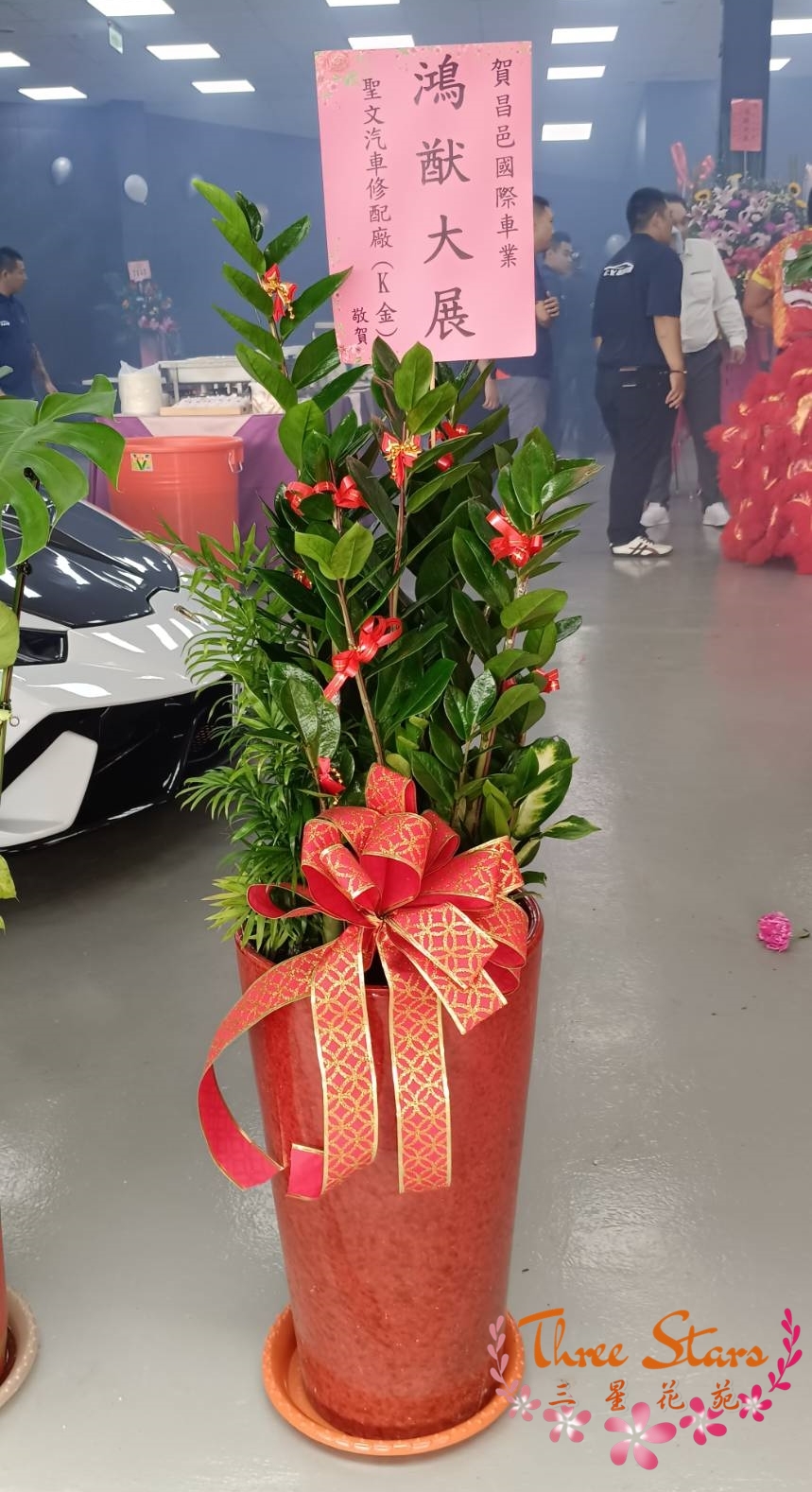 祝賀盆景-台中蘭花花籃訂製