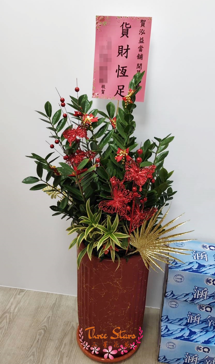 祝賀盆景-台中蘭花花籃訂製
