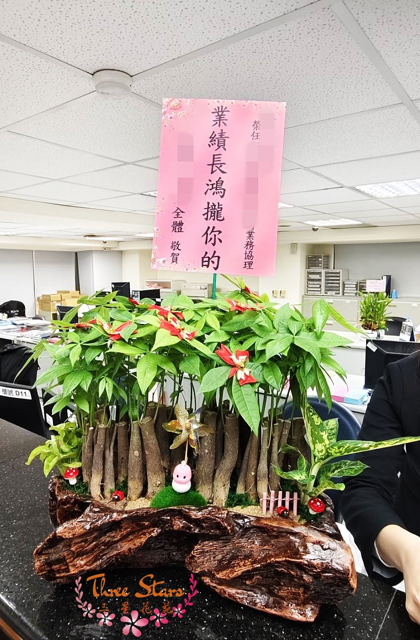 祝賀盆景-台中蘭花花籃訂製