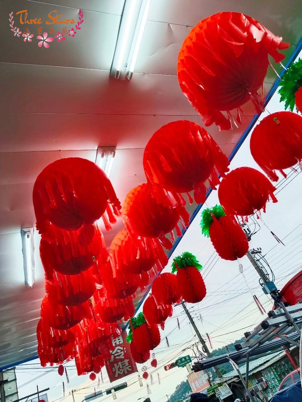 祝賀彩球-台中蘭花花籃訂製