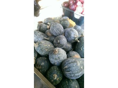 樂田蔬果-undefined