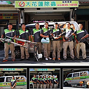 大花蓮除蟲專家