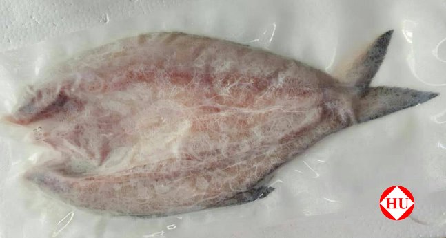 午仔魚(一夜干)-1