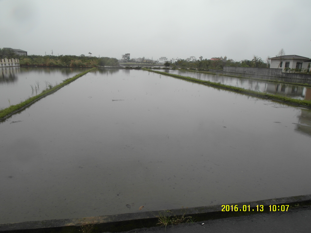 D129深惠794完美田/2分半農地