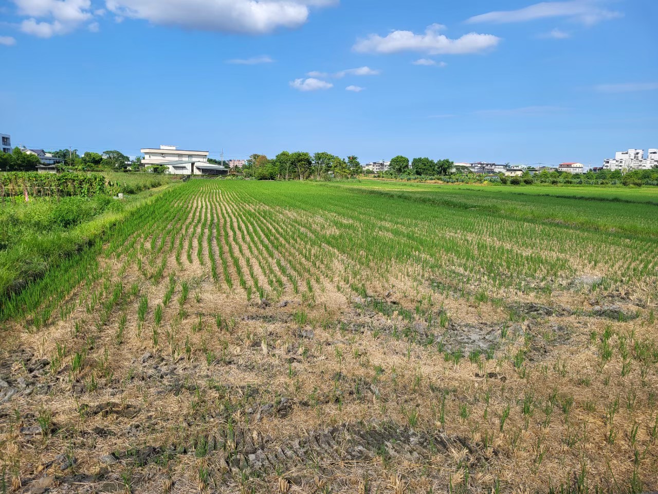 D209員山東德段757農地A/近員山公園/重劃區內