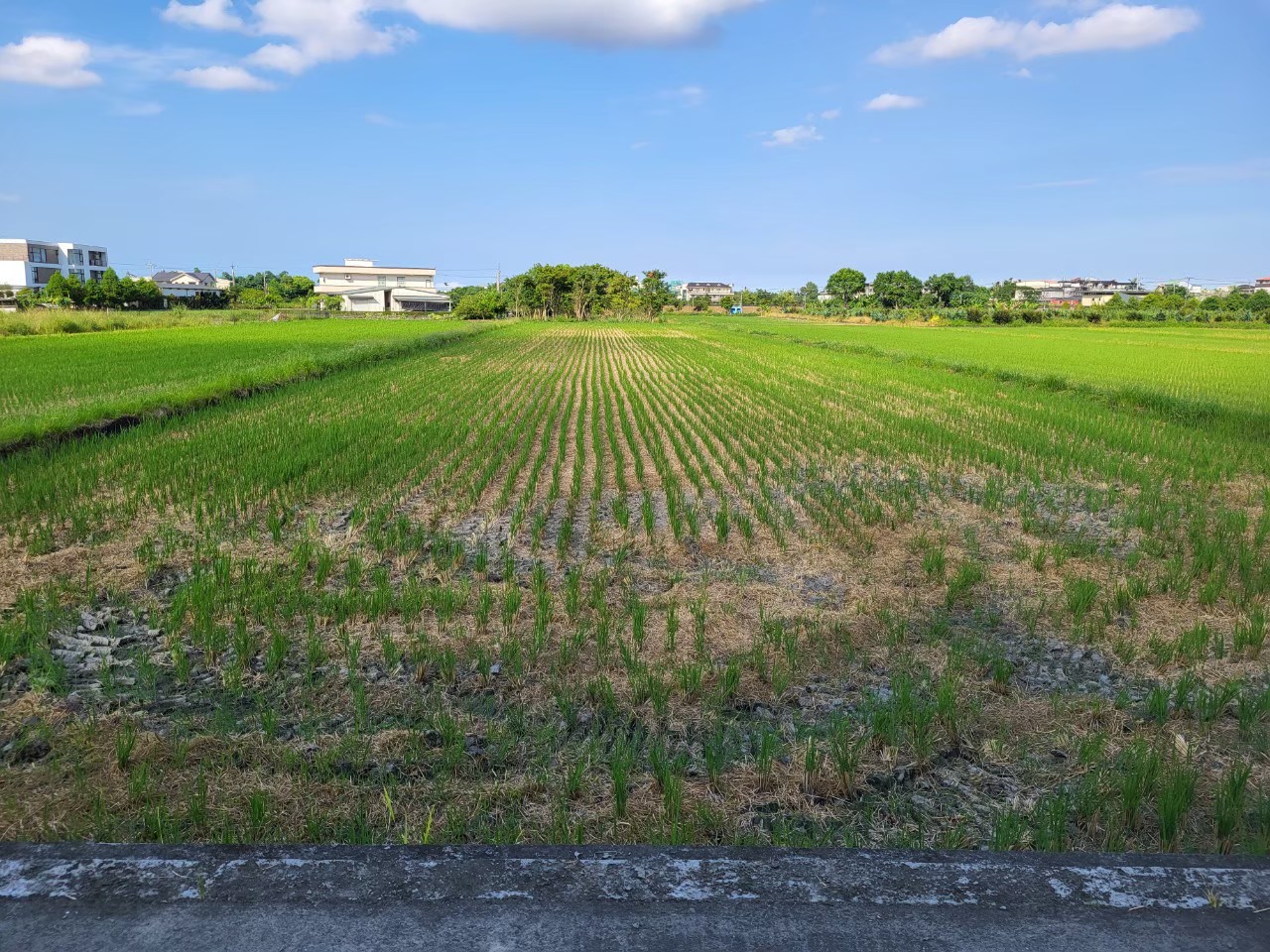 D210員山東德段757農地B/重劃區內