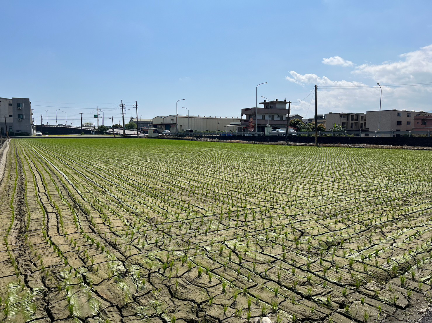 D218尾塹大路邊357農地/稀有大面寬/方正地形
